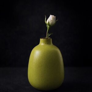 Vintage heath ceramics Green Ceramic Bud Vase rare